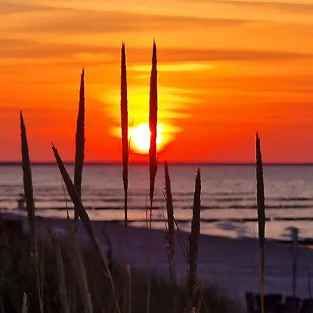 Kos - Waldesduft Apartment